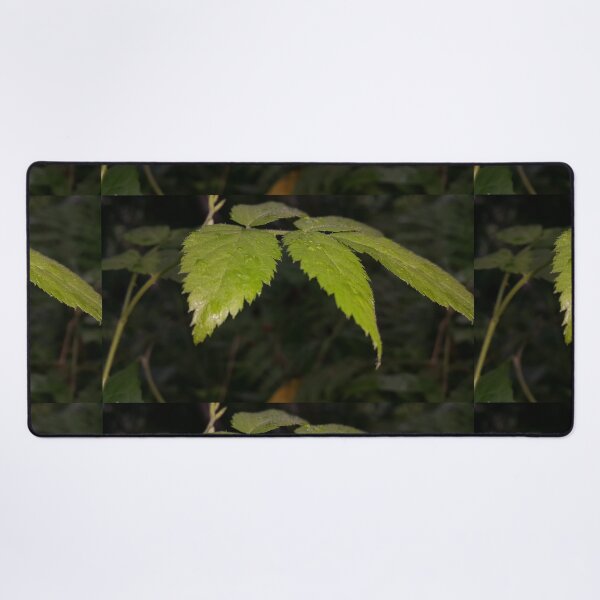 Item preview, Beautiful wet green leaf wallpaper perfect for Nature Lovers. designed and sold by Yusuf-Design.