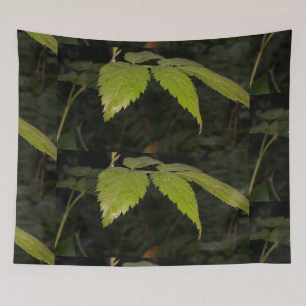 Item preview, Beautiful wet green leaf wallpaper perfect for Nature Lovers. designed and sold by Yusuf-Design.
