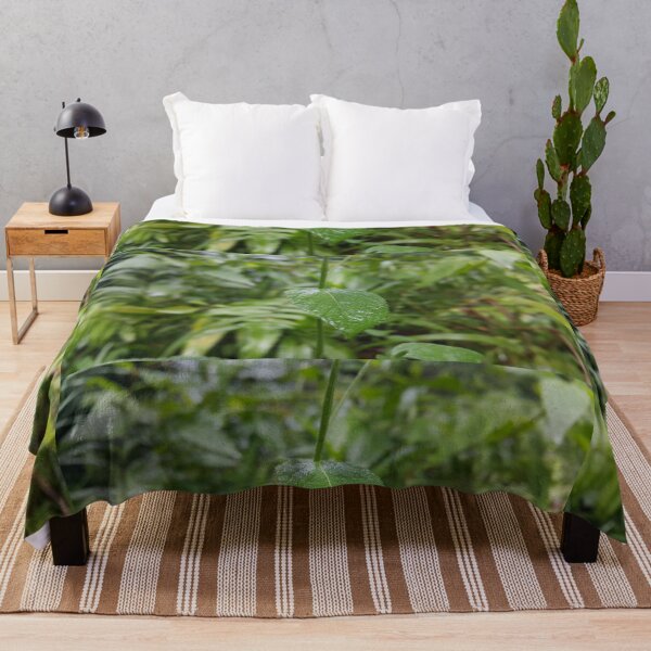 Item preview, Green leaves wallpaper || Beautiful dark green wet leaf texture wallpaper designed and sold by Yusuf-Design.
