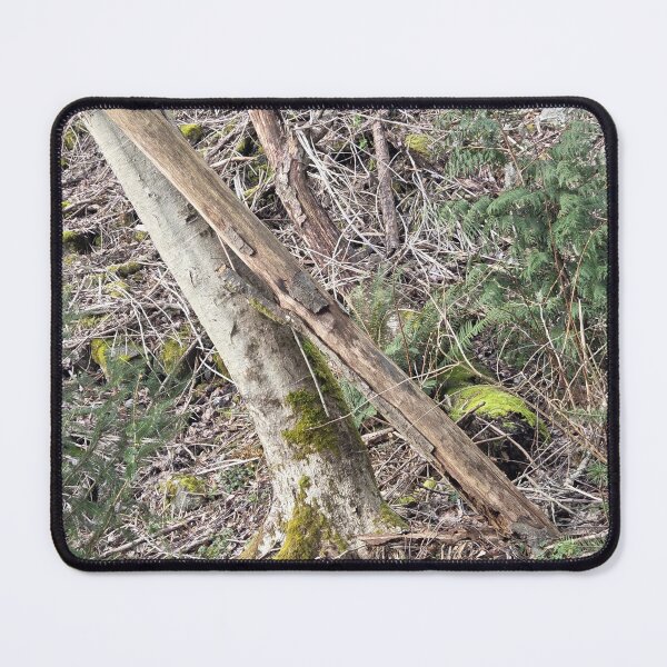 Item preview, Everything Needs Touch designed and sold by TarrejB.