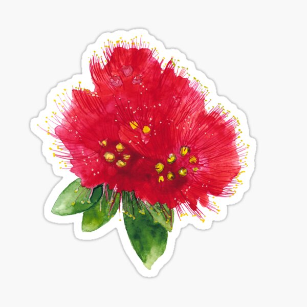 Artikel-Vorschau von Pōhutukawa Aquarellbild, designt und verkauft von Karottenlotte.