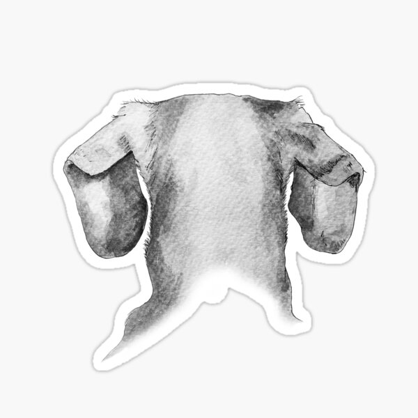 Item preview, The View from Behind - Dachshund Ears designed and sold by The Stoddy Crew.