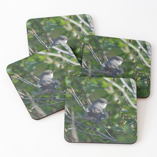 Item preview, Least Bell's Vireo designed and sold by EnglandEcology.