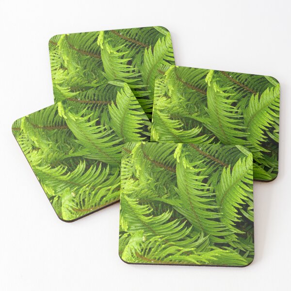 Item preview, FERNS IN A JUNE RAIN SHOWER designed and sold by Elaine Bawden.