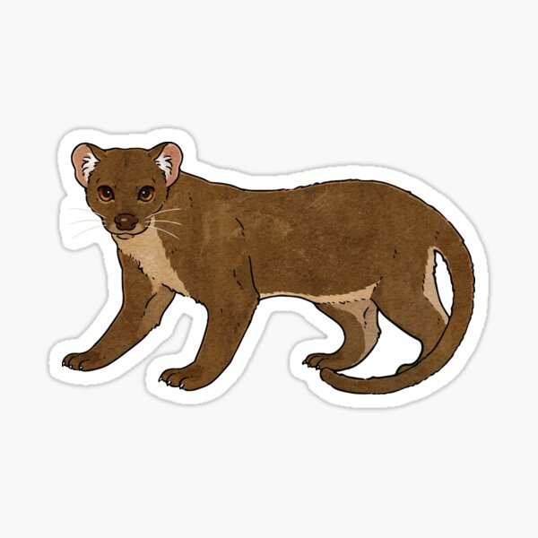 Item preview, Hand drawn cute Fossa designed and sold by You Store.