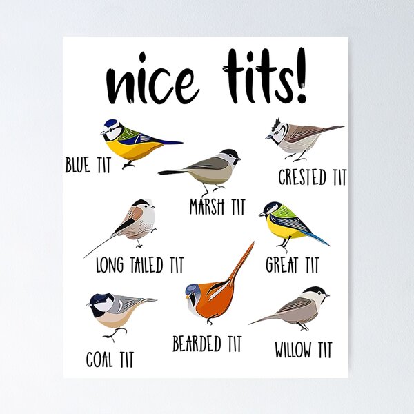 Item preview, Nice Tits Colorful Songbirds Illustration – Cute Birds Art designed and sold by Smell  Cloud.