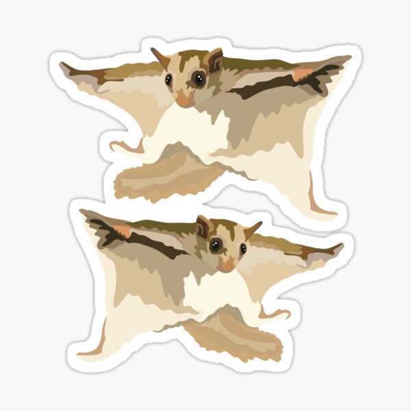 Artikel-Vorschau von F steht für Flying Squirrel, designt und verkauft von thezoogirl.