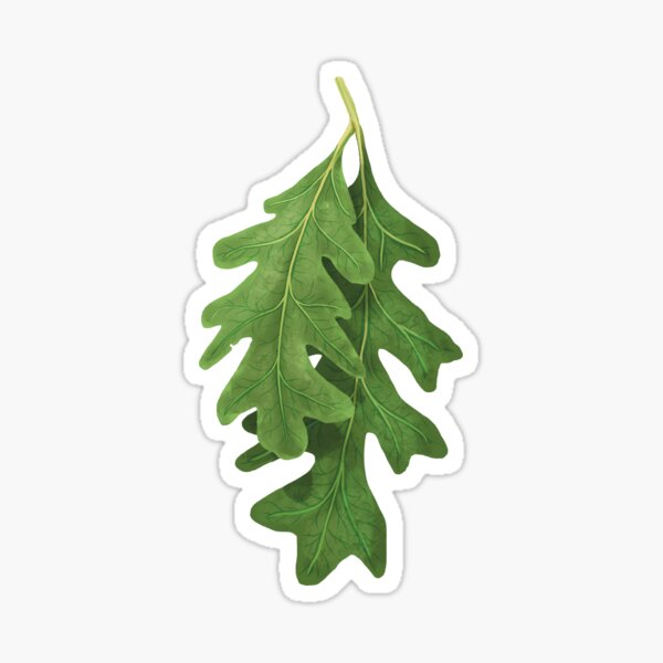 Item preview, Green White Oak Leaves designed and sold by Nick Garnhart.