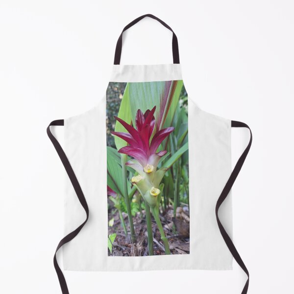 Item preview, Curcuma aeruginosa Roxb designed and sold by Quantum-Life.