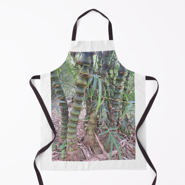 Item preview, Dwarf Buddha Belly Bamboo designed and sold by Quantum-Life.