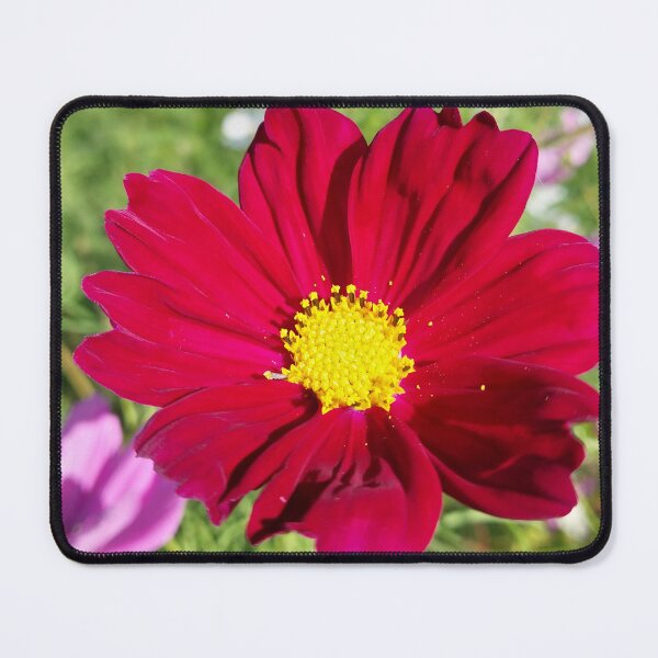 Item preview, Red Cosmos Flower designed and sold by Debbie Schulte.