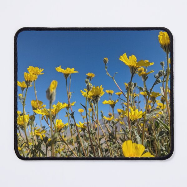 Item preview, Wild flowers in the Mojave Desert  designed and sold by Throughmyeyes.