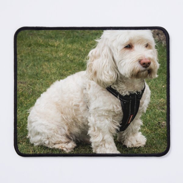 Item preview, Cute Dog designed and sold by JEZ22.