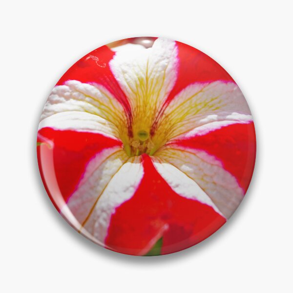 Item preview, Petunia flower designed and sold by manoloshoping.