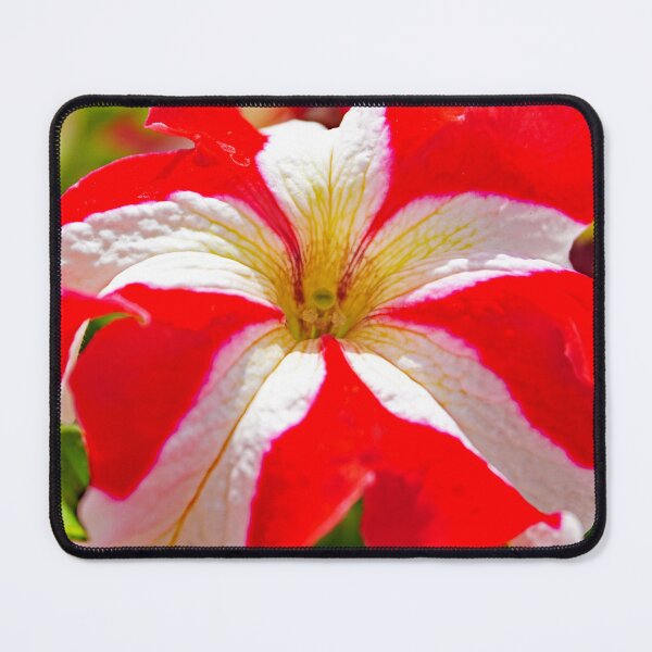 Item preview, Petunia flower designed and sold by manoloshoping.
