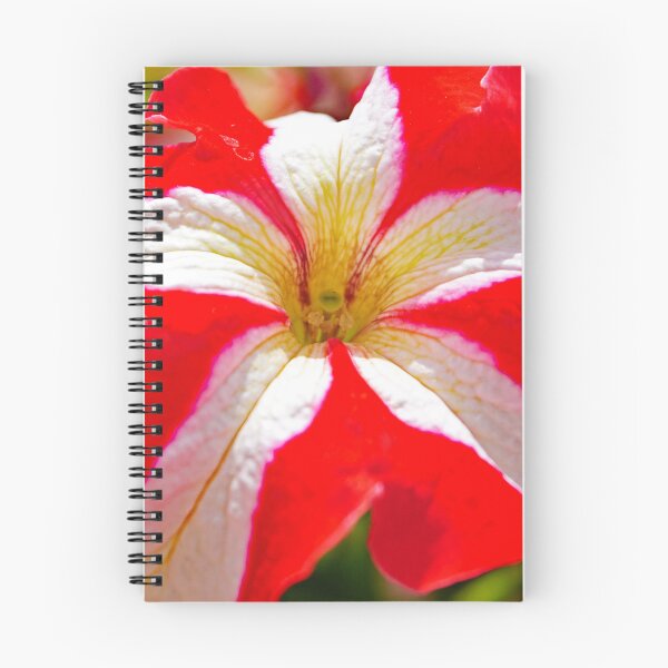 Item preview, Petunia flower designed and sold by manoloshoping.