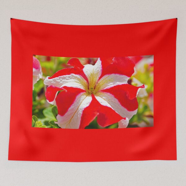 Item preview, Petunia flower designed and sold by manoloshoping.