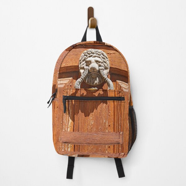 Item preview, Door with lion knocker designed and sold by manoloshoping.