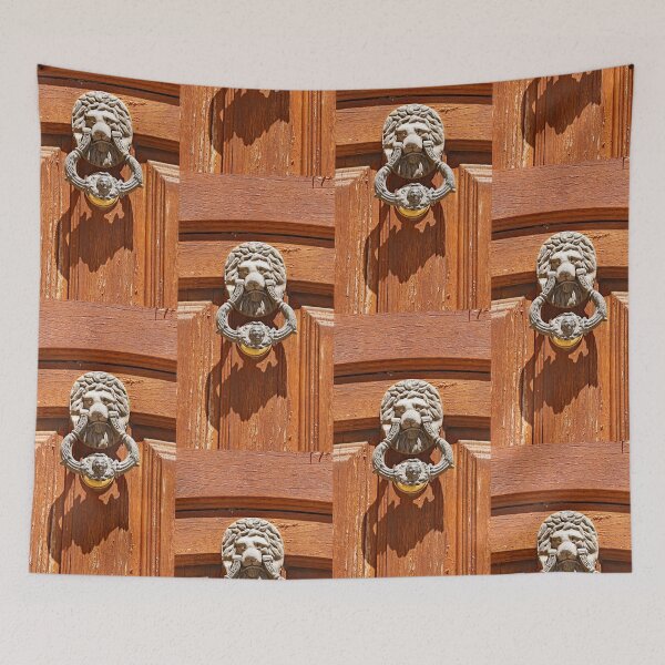 Item preview, Door with lion knocker designed and sold by manoloshoping.