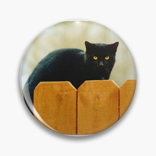 Item preview, Black Cat is The Instigator designed and sold by Eileen Brymer.