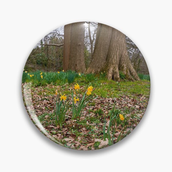 Item preview, Beautiful Welsh Daffodills designed and sold by VnGphoto.