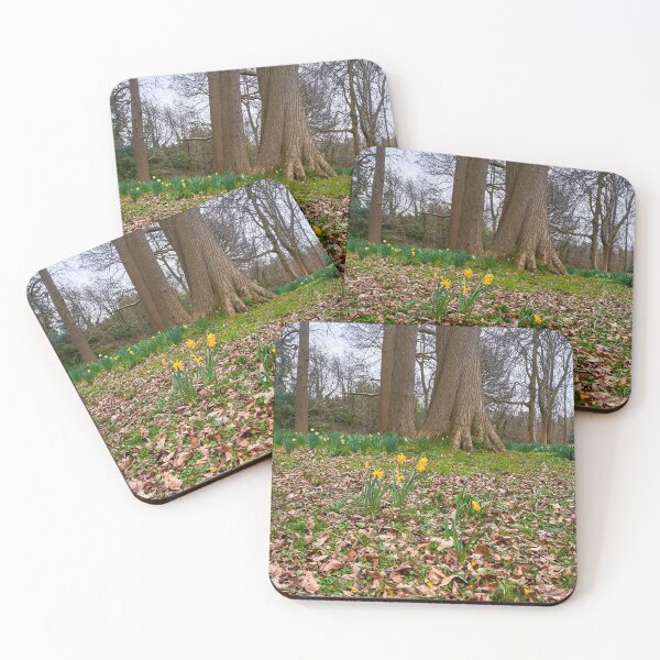 Item preview, Beautiful Welsh Daffodills designed and sold by VnGphoto.
