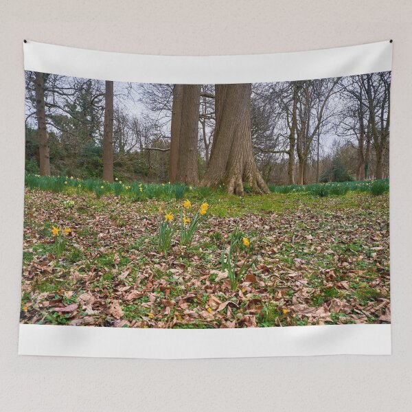 Item preview, Beautiful Welsh Daffodills designed and sold by VnGphoto.