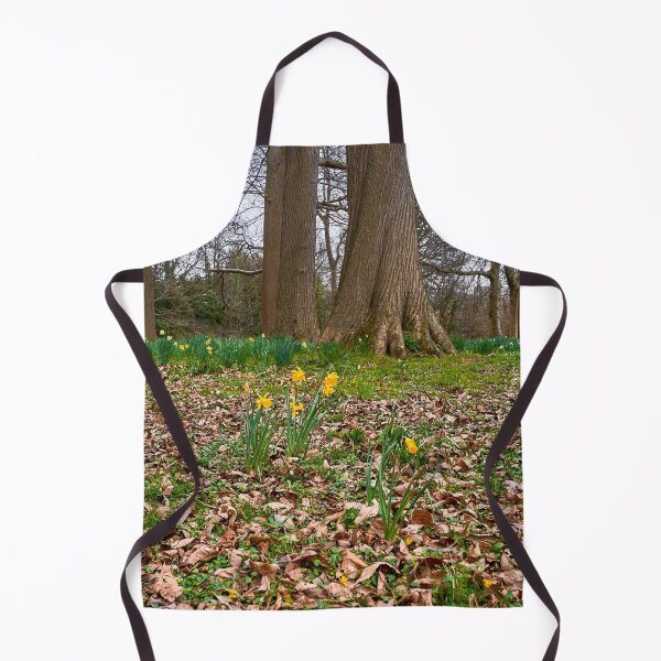 Item preview, Beautiful Welsh Daffodills designed and sold by VnGphoto.