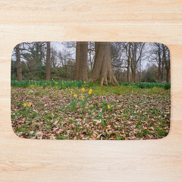 Item preview, Beautiful Welsh Daffodills designed and sold by VnGphoto.
