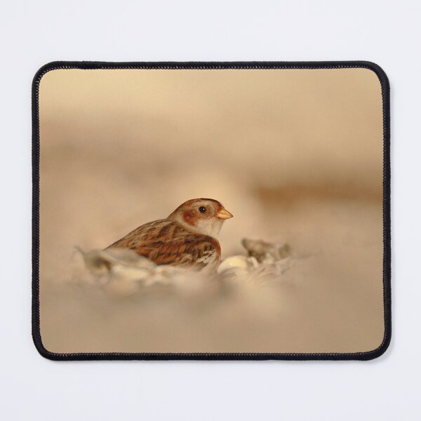 Item preview, beautiful bunting designed and sold by miradorpictures.