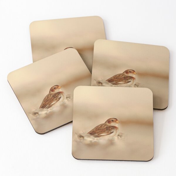 Item preview, Bunting beach designed and sold by miradorpictures.