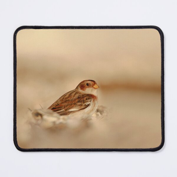 Item preview, Bunting beach designed and sold by miradorpictures.