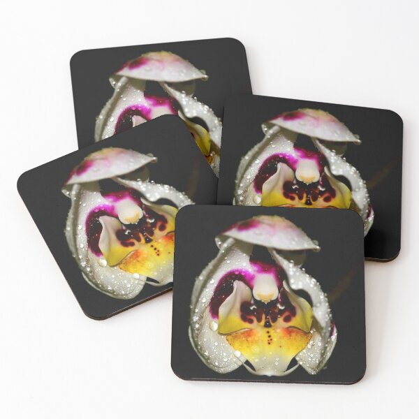 Item preview, Orchid (MKW-F.109) designed and sold by Katrina Morgan.