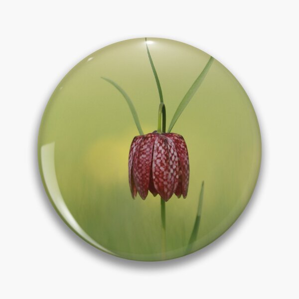 Item preview, The lonely fritillary designed and sold by miradorpictures.