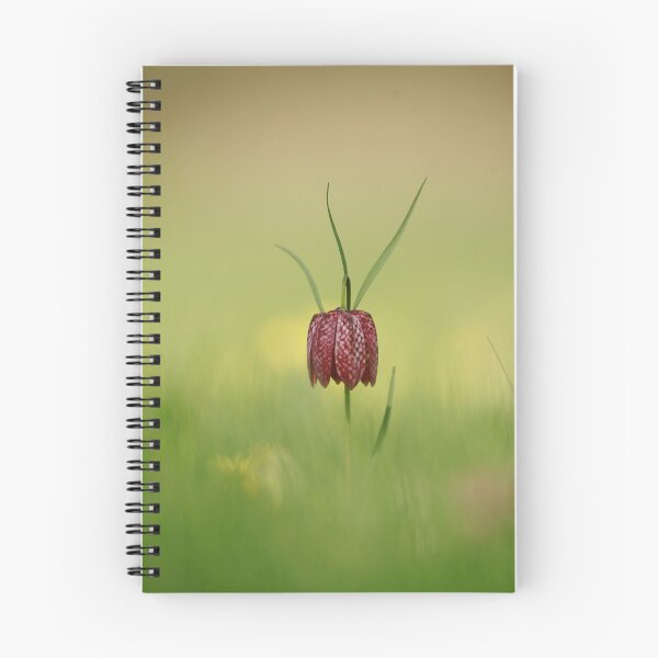 Item preview, The lonely fritillary designed and sold by miradorpictures.