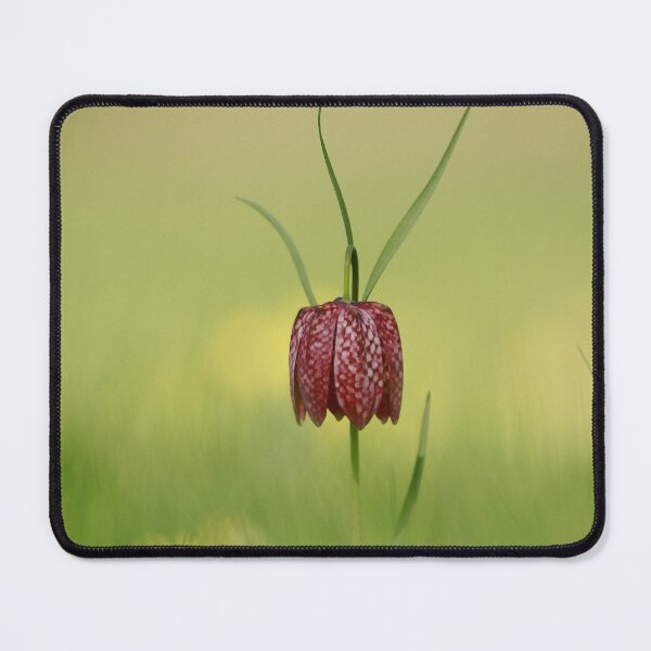 Item preview, The lonely fritillary designed and sold by miradorpictures.