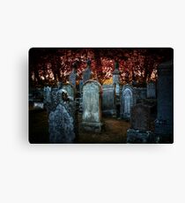 Turned to stone Canvas Print
