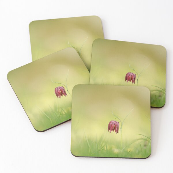 Item preview, The solitary fritillary designed and sold by miradorpictures.