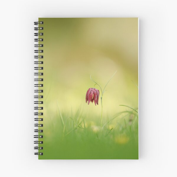 Item preview, The solitary fritillary designed and sold by miradorpictures.