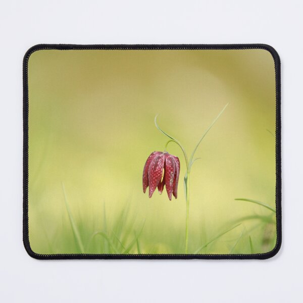 Item preview, The solitary fritillary designed and sold by miradorpictures.
