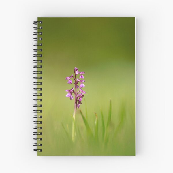 Item preview, Early Orchid  designed and sold by miradorpictures.