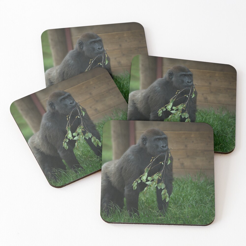 Item preview, Coasters (Set of 4) designed and sold by rawshutterbug.