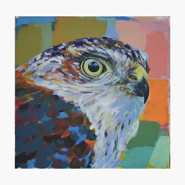 Item preview, Peregrine Falcon designed and sold by Cat Leonard.