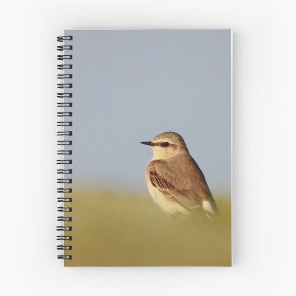 Item preview, Wonderful Wheatear designed and sold by miradorpictures.