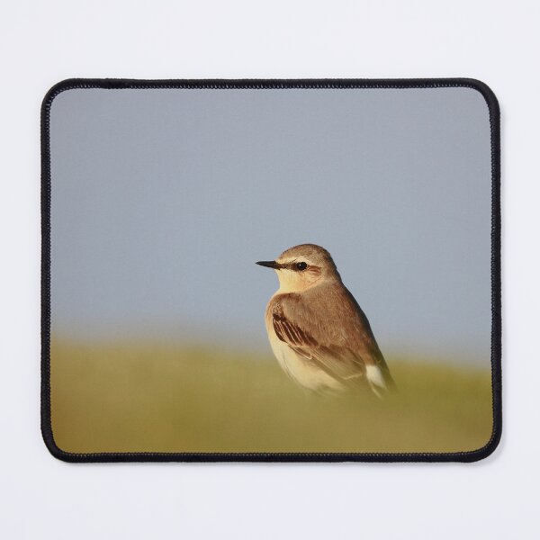 Item preview, Wonderful Wheatear designed and sold by miradorpictures.