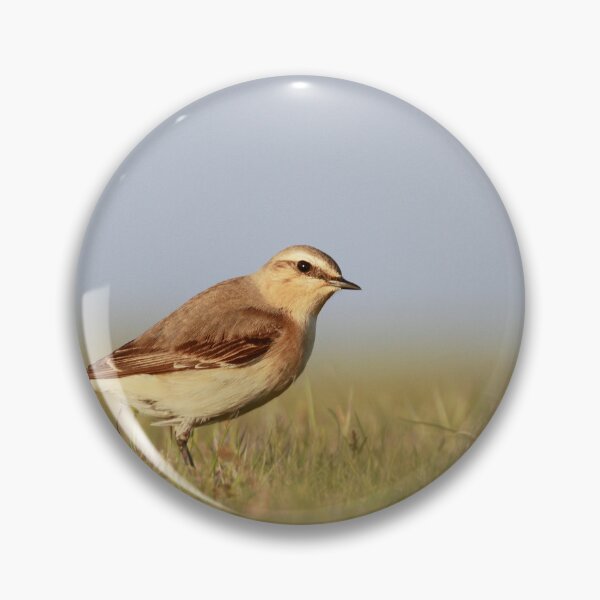 Item preview, Wheatear on watch  designed and sold by miradorpictures.