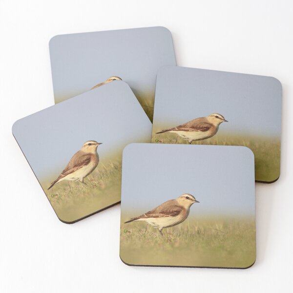 Item preview, Wheatear on watch  designed and sold by miradorpictures.