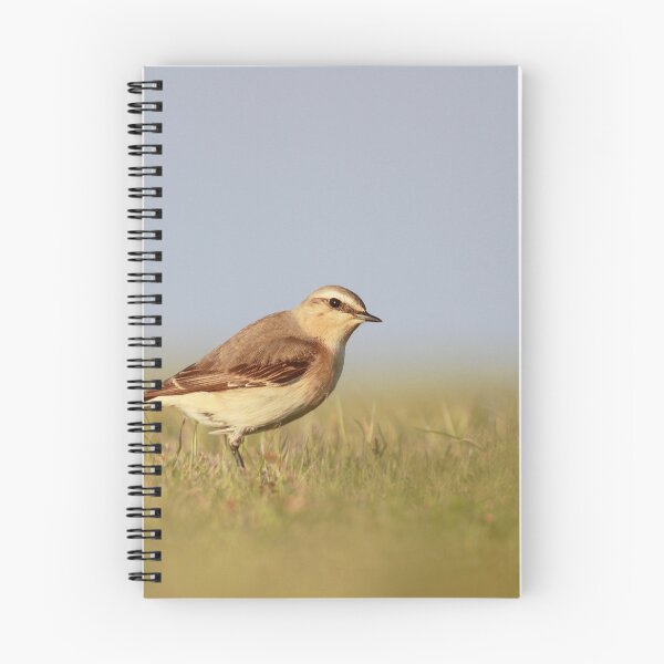 Item preview, Wheatear on watch  designed and sold by miradorpictures.