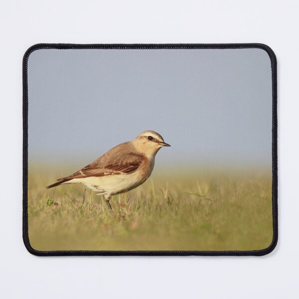 Item preview, Wheatear on watch  designed and sold by miradorpictures.