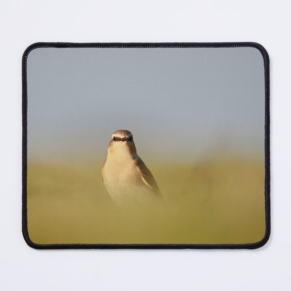 Item preview, Eyes on the wheatear   designed and sold by miradorpictures.